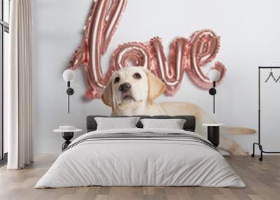 A cute labrador puppy whit text love Wall mural