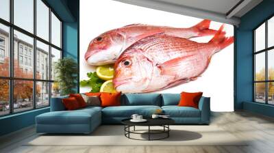 Raw porgy on white background Wall mural