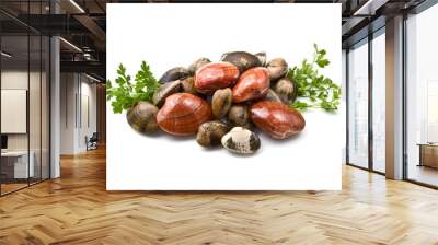 smooth clams Wall mural