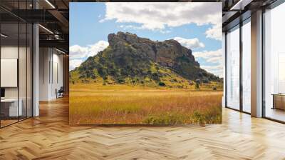 Low grass growing on African savanna, small rocky mountains in background - typical scenery at Isalo national Park, Madagascar Wall mural