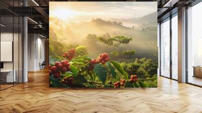 Morning sun shines over coffee plantation or farm. Red raw berries on small shrubs in foreground; mist over hills background. Generative AI Wall mural