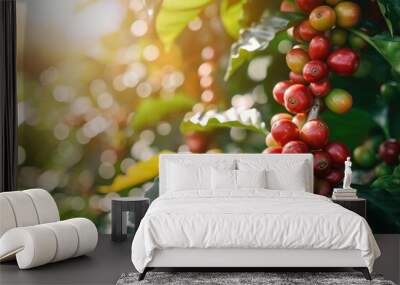 Close up fresh organic red raw and ripe coffee cherry beans on tree plantation Wall mural