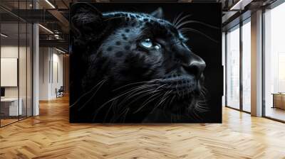 Closeup of a black panthers head on black background Wall mural