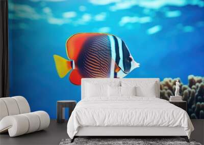 Exotic tropical coral reef redtail butterflyfish on natural blue background Wall mural