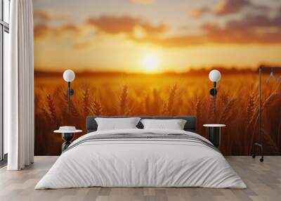 Golden wheat field bathed in warm sunset light Wall mural