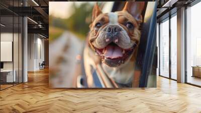 Happy French Bulldog with tongue out enjoying a ride in the car Wall mural