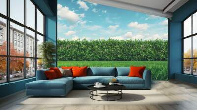 Lush green hedge under a clear blue sky Wall mural