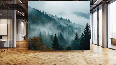 Panoramic view of forest with morning fog, aerial spaces. Wall mural