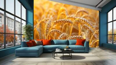 Wheat field. Ears of golden wheat closeup. Harvest concept. Wall mural