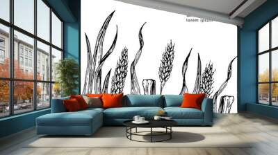 Field of Wheat vector illustration Wall mural