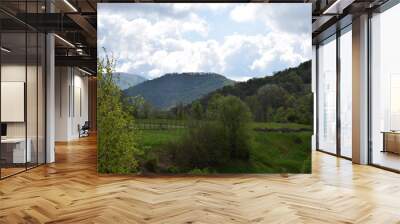 paesaggio landscape montagna  Wall mural