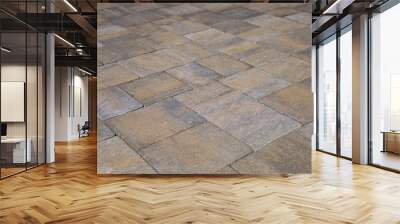 Brown and gray concrete paver blocks of different shapes. Stone effect for outdoor flooring, backyard or sidewalk. Background and texture. Wall mural