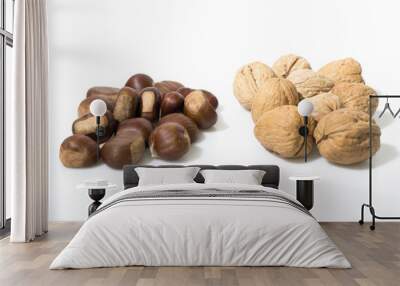 Chestnuts and nuts isolated in a white background Wall mural