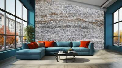 Detailed geological rock background full of veins Wall mural