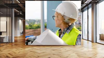 A female builder worker at a construction site works and controls the process. Wall mural