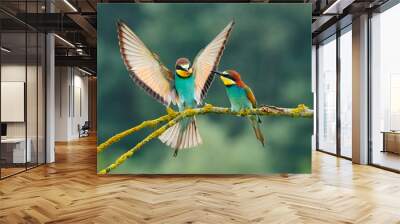 European bee-eater (Merops apiaster). Wall mural