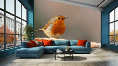 European robin (Erithacus rubecula) Wall mural