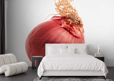 Fresh red onion Wall mural