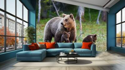 Mother bear and her three little puppies Wall mural