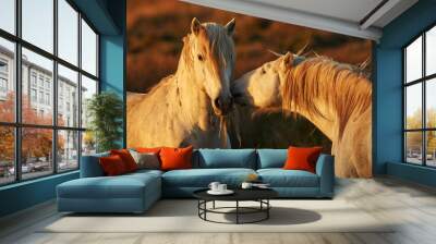 two white horses of camargue Wall mural