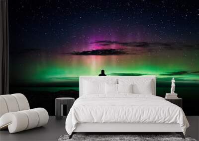 Northern Lights as seen from Tobermory, Ontario Wall mural