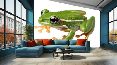 Close-up of a vibrant green tree frog with large eyes and detailed skin texture on a white background
 Wall mural