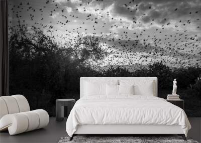 the birds Wall mural