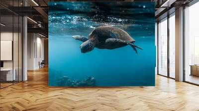 Underwater nature photo of adult sea turtle swimming on the surface of clear blue ocean water with coral reef below in deep blue sea in Maui Hawaii Wall mural