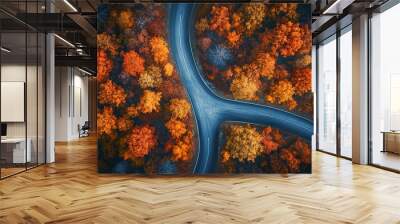 Scenic aerial view of forest road with fall colors. Banner background Wall mural