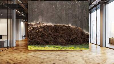 A pile of manure on an agricultural field for growing bio products Wall mural