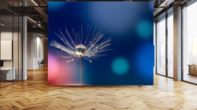 Abstract blurred nature background dandelion seeds parachute. Abstract nature bokeh pattern Wall mural