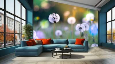 Abstract floral background, meadow in the early morning with beautiful fantastic bokeh Wall mural