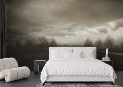 Gloomy autumn landscape black and white photo Wall mural