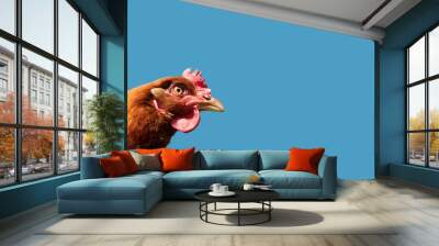 head red chicken with an evil look on a blue background Wall mural