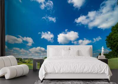 panorama of a green summer field on a sunny day and clouds on blue sky Wall mural