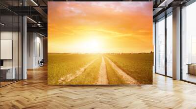 Panorama of green field with dirt road and sunset sky. Summer rural landscape sunrise Wall mural