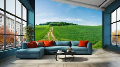 Panorama of summer green field. European rural view. Beautiful landscape of wheat field and green grass with stunning blue sky and cumulus clouds in the background. Wall mural