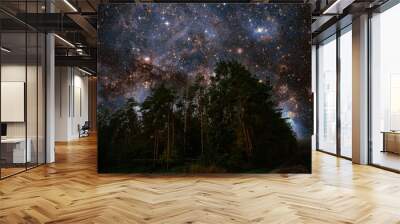 tall pine trees against the background of the starry sky moonless night Elements of this image Furnished by NASA. Wall mural