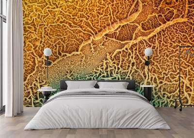 The surface of biological tissue infected with pathogenic microorganisms Wall mural