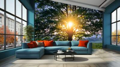 Tranquil sunset over blue forest landscape. Wall mural