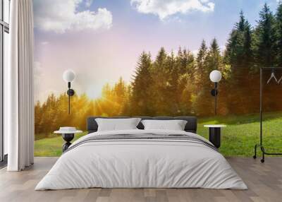 Green forest natural landscape on the mountain in summer Wall mural