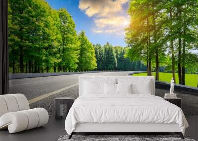 country asphalt road and green woods nature landscape in summer Wall mural