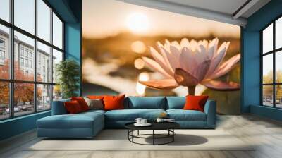 flower background beautiful pink lotus flower in summer Wall mural