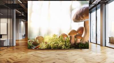 forest mushroom design for banners and menus Wall mural