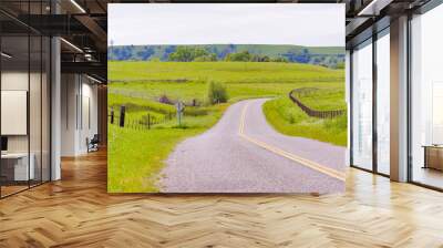 Road in Central California Wall mural