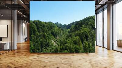 Two small hills covered by mixed forests. Between them there are wires or cables for transport of electricity and a pillar or mast on the horizon. Wall mural