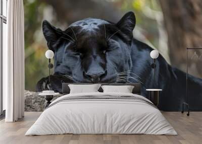 A close-up of a black panther, resting its head on a rough surface Wall mural