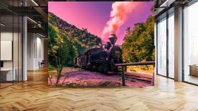 Old black steam powered railway train. Restored old vintage steam train built at Resita, Romania. Wall mural