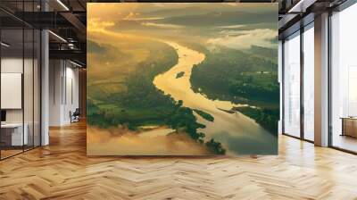 aerial view of beautiful river. Wall mural