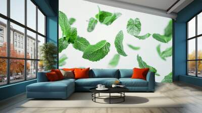 mint leaves float in the air in white background. Wall mural